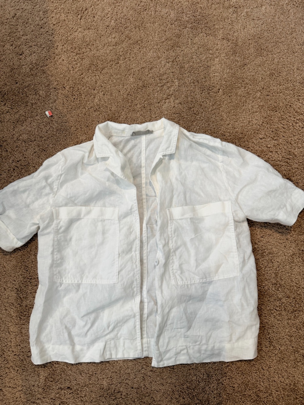 Everlane Linen short sleeve shirts
White
Size S

Barely worn
VGUC
